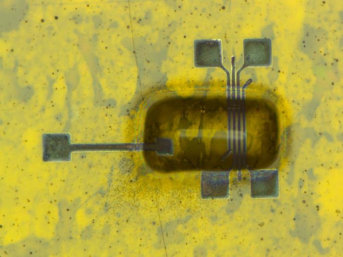 A fully printed carbon nanotube thin-film transistor with an ion gel gate printed on top of flexible Kapton, capable of bending around a rod with a two-millimeter diameter. Kapton is commonly used in a variety of demanding applications such as flexible printed circuits and high-temperature electronics.
