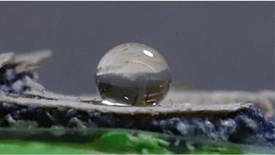 An impervious coating grown by an edible fungus causes water droplets to bead on denim.