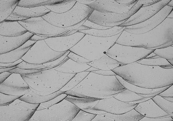 Microscope image showing the layered structure of a new 3D-printed aluminum alloy. The wave-like patterns are “melt pools,” traces left by the laser as it melted metal powder layer by layer. The small dark dots are nanoscale particles that give the alloy its exceptional strength and heat resistance.