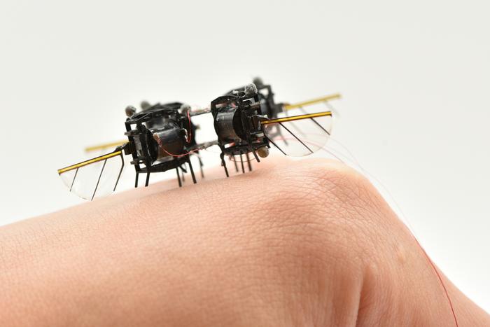 Chen&rsquo;s group has been building robotic insects for more than five years.