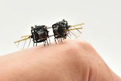 Chen’s group has been building robotic insects for more than five years.