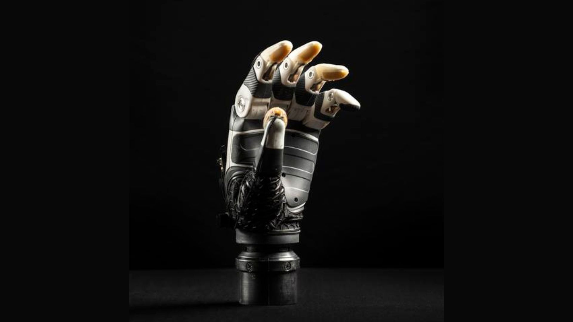 The Utah researchers outfitted a commercial prosthetic hand with custom fingertips that detect pressure. These fingertips also were equipped with optical proximity sensors capable of &ldquo;seeing&rdquo; objects before they made contact with the hand. These sensors allow the AI to assist the user with the fine movements that are critical to dexterous grasping and holding.