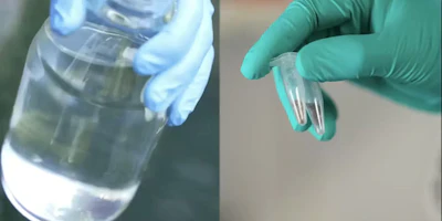 Researchers first sample water or soil from a site. Then they analyze the sample using the combination of spectroscopy and machine learning to identify any pollutants present.