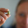 Moesgaard Museum archaeologist Liv Stidsing Reher-Langberg holds a Viking Age glass bead unearthed in Aarhus, Denmark, on June 22, 2026.