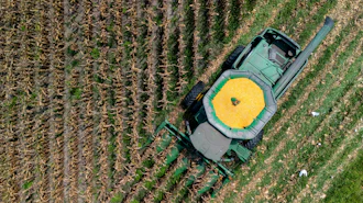 A farmer harvests seed corn on July 29, 2025 near Albany, Ga.