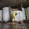 Sludge pours out of a vat of fermenting fish sauce in an abandoned factory, St. Mary's, Newfoundland and Labrador, July 28, 2026.