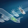Hydrogen Powered Fuel Cell Engine Mounted On An Aircraft C Mtu 2026