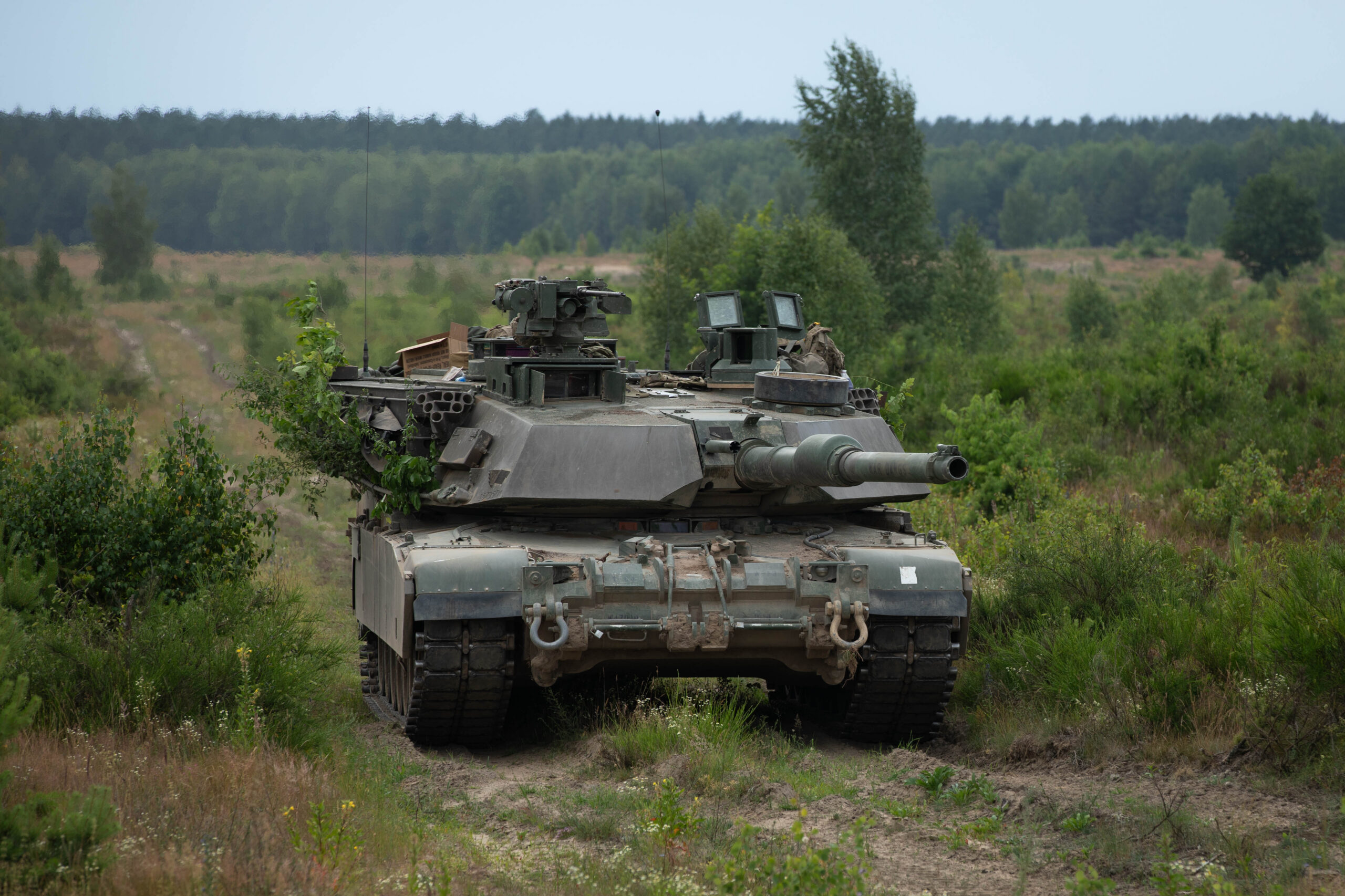 Military tank positioned in forested terrain with coniferous trees and cleared ground in background