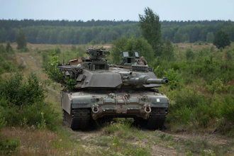 Military tank positioned in forested terrain with coniferous trees and cleared ground in background