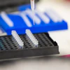 Pipette dispensing liquid into black microplate wells during laboratory sample preparation
