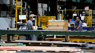 Workers processing lumber at an industrial woodworking facility with yellow machinery and green structural beams.