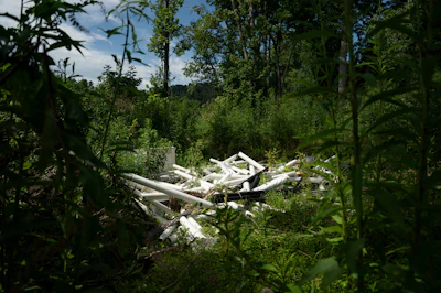 Discarded white debris scattered among dense green forest vegetation and trees under blue sky