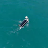 Aerial view of a pontoon boat on clear turquoise water with white canopy