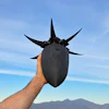 Person holding black spiked helmet against blue sky with mountains in background